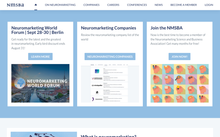 website screenshot NMSBA